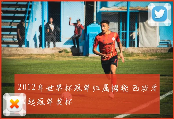 2012年世界杯冠军归属揭晓 西班牙捧起冠军奖杯