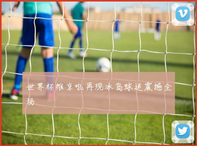 世界杯维京吼再现冰岛球迷震撼全场