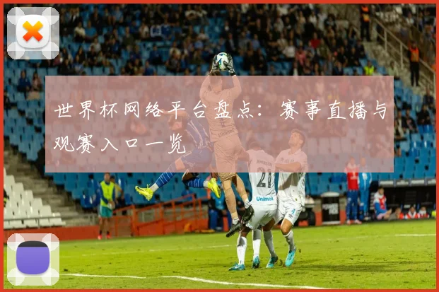 世界杯网络平台盘点：赛事直播与观赛入口一览