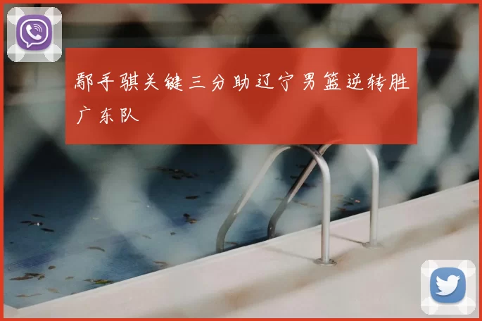 鄢手骐关键三分助辽宁男篮逆转胜广东队