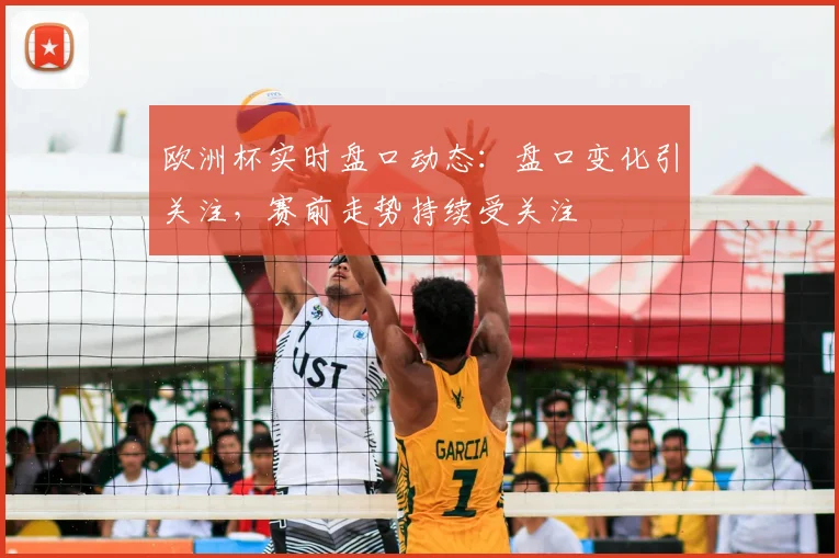欧洲杯实时盘口动态：盘口变化引关注，赛前走势持续受关注