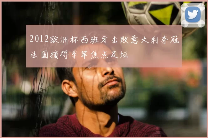 2012欧洲杯西班牙击败意大利夺冠法国摘得季军焦点足坛